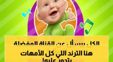 تردد قناة طيور بيبي الجديد لعام 2026 يُعرض لأول مرة مع مجموعة مميزة من البرامج والأناشيد الممتعة للأطفال