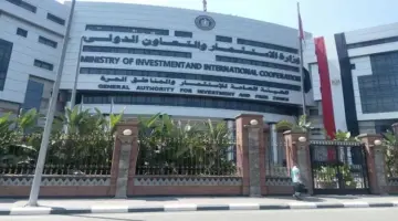 "الاستثمار" تفتح باب التقديم للتدريب الصيفي 2026.. التخصصات المطلوبة