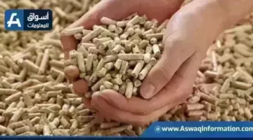 أسعار الأعلاف اليوم الأربعاء عند التاجر.. طن العلف وصل لكام | أسعار السلع