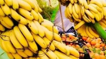 الموز يبدأ من 30 جنيها والكنتالوب بـ20.. أحدث أسعار الفاكهة بأسواق سوهاج اليوم