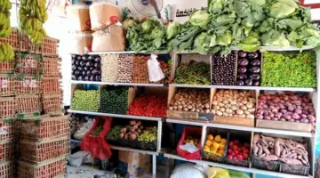 بعد موجه ارتفاع.. أسعار الطماطم تنخفض بالأسواق والكيلو يسجل 15 جنيها في