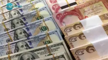 سعر الدولار في العراق مقابل الدينار العراقي اليوم الجمعة 20/2/2026.. هدوء مواز