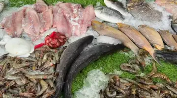 أسعار الأسماك والمأكولات البحرية في سوق العبور اليوم.. 80 جنيها لكيلو البلطي