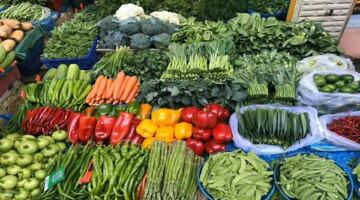 أسعار الخضار اليوم الاثنين 22-6-2026 في سوق العبور.. بكام الطماطم؟