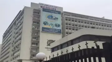 الإحصاء: مصر سابع أكبر دولة عالميًا في استقبال تحويلات العاملين بالخارج