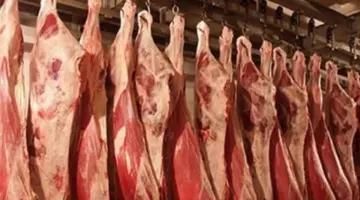 انخفاض أسعار اللحوم والعدس والجبن بالأسواق اليوم الثلاثاء (موقع رسمي)