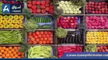 بكام النهاردة؟.. أسعار الخضراوات اليوم الخميس بسوق العبور | أسعار السلع