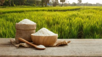 سعر الأرز اليوم الإثنين