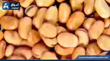 سعر الفول اليوم الأحد عند التاجر.. أردب الفول البلدي بكام | أسعار السلع