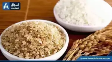 سعر طن الأرز الشعير اليوم الأحد عند التجار.. النهاردة بكام | أسعار السلع