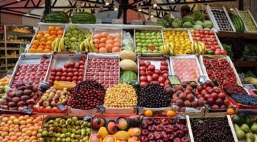 أسعار الفاكهة اليوم، ارتفاع الخوخ 10 جنيهات وانخفاض الشمام والكانتلوب