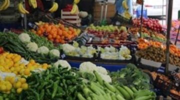 أسعار الفاكهة في سوق العبور اليوم الجمعة 3-7-2026