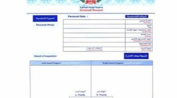 إجراءات استخراج صحيفة الحالة الجنائية إلكترونياً والمستندات المطلوبة لإتمام الخدمة بنجاح