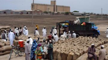 إنخفاض أسعار المحاصيل الزراعية بالسودان