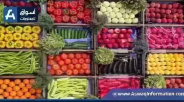 ارتفاع الفلفل.. أسعار الخضراوات اليوم الأربعاء بسوق العبور | أسعار السلع