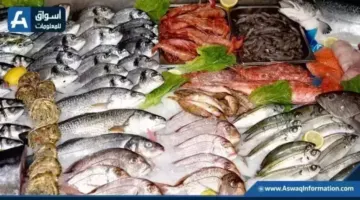 الجمبري بكام.. أسعار السمك اليوم الخميس بسوق العبور | أسعار السلع