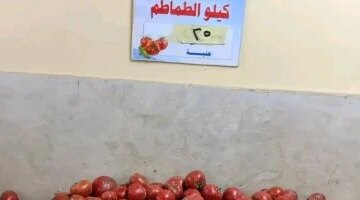 تباين أسعار الخضروات في أسواق الأقصر وسط استقرار تكلفة الطماطم والبطاطس المحلية