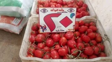 تذبذب الأسعار.. قائمة أسواق الخضراوات والفاكهة في الوادي الجديد اليوم
