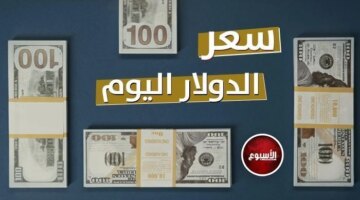 تذبذب جديد في أسعار صرف الدولار مقابل الجنيه داخل البنوك المصرية اليوم