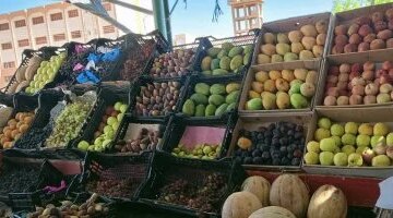 تراجع أسعار الفاكهة في أسواق الوادي الجديد وتثبيت سعر كيلو المشمش عند 55 جنيها