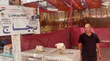 تزاحم المواطنين على سوق السلع الغذائية بمدينة زفتى للحصول على منتجات مخفضة