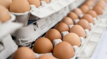 تغيرات جديدة في أسعار كرتونة البيض داخل الأسواق المصرية اليوم الأحد