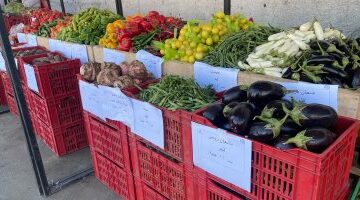 تغيرات ملحوظة في أسعار الخضراوات والفاكهة بأسواق محافظة المنوفية اليوم الأحد