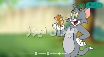 خطوات تحديث تردد قناة توم وجيري لاستقبال البث بجودة عالية على جهازك