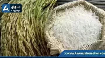 سعر الأرز اليوم الأربعاء عند التاجر.. بكام طن الشعير؟ | أسعار السلع