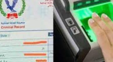 طرق استخراج فيش وتشبيه إلكترونياً لتوفير الوقت والجهد في عام 2026