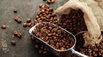 طرق عملية لكشف غش حبوب القهوة وضمان جودة البن قبل إتمام الشراء
