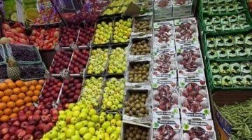 قفزة في أسعار العنب بالأسواق المحلية وسط تباين تكاليف الفاكهة بكفر الشيخ