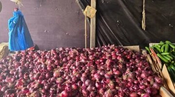 مؤشر الأسعار.. استقرار حركة بيع الخضراوات والفاكهة في أسواق الإسماعيلية اليوم