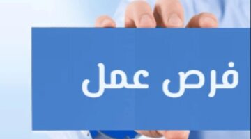 وزارة العمل تفتح باب التقديم لـ 1230 فرصة عمل في 9 محافظات مصرية