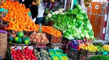 تباين ملحوظ في أسعار الخضراوات والفاكهة بأسواق محافظة المنوفية اليوم الإثنين