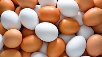تغيرات ملحوظة في أسعار طبق البيض داخل أسواق محافظة القليوبية اليوم