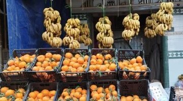 استقرار أسعار الفاكهة في أسواق الأقصر وسط وفرة المعروض من المحاصيل الموسمية
