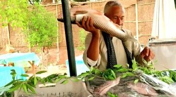 تباين أسعار الأسماك في أسواق الوادي الجديد اليوم وسط إقبال على شراء السردين