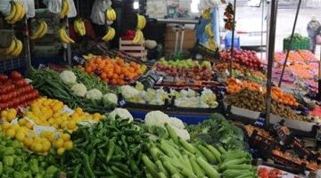 تباين أسعار الخضروات في أسواق الأقصر اليوم الأربعاء وسط تفاوت ملحوظ بالمنافذ