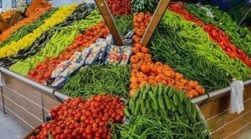 تباين ملحوظ في أسعار الخضروات بأسواق مطروح وسط إقبال على شراء الأصناف الأساسية