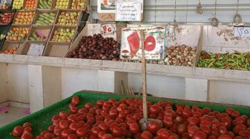 تراجع أسعار الطماطم في الوادي الجديد وسط استقرار حركة البيع بالأسواق المحلية