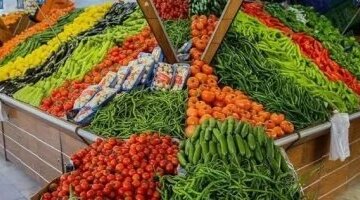 تطورات أسعار الخضراوات في أسواق الأقصر مع بداية تعاملات الأحد 16 أغسطس