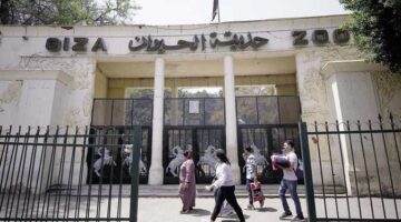 تطورات حديقة حيوان الجيزة تكشف تفاصيل موعد الافتتاح المرتقب للجمهور قريباً