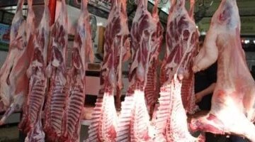 تغيرات جديدة في أسعار اللحوم بأسواق محافظة كفر الشيخ اليوم الخميس