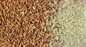 تغيرات جديدة في مستويات أسعار الأرز الشعير داخل الأسواق المحلية اليوم السبت