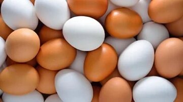 تغيرات مفاجئة في أسعار كرتونة البيض داخل أسواق محافظة القليوبية اليوم