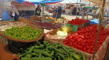 تغيرات ملحوظة في أسعار الخضراوات بأسواق الأقصر اليوم الأحد وسط تباين تكاليف الأصناف