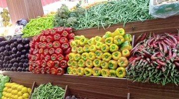 تغيرات ملحوظة في أسعار الخضراوات داخل أسواق مطروح اليوم الأحد 9 أغسطس