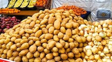 تغيرات ملحوظة في أسعار الخضروات بأسواق القليوبية اليوم وسط إقبال جماهيري كبير