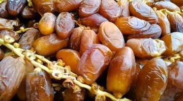 تقلبات أسعار البلح السيوي والتمور في أسواق محافظة مطروح اليوم الأربعاء